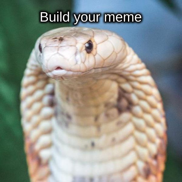meme generator image preview